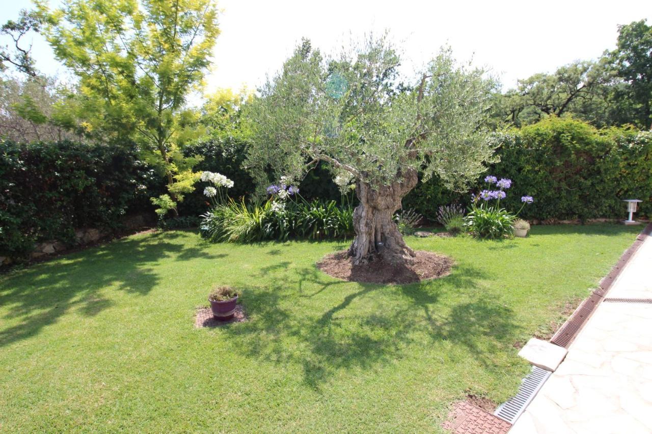 Villa Jalna Chambre, Suites Et Appartement Roquefort Les Pins Exteriér fotografie